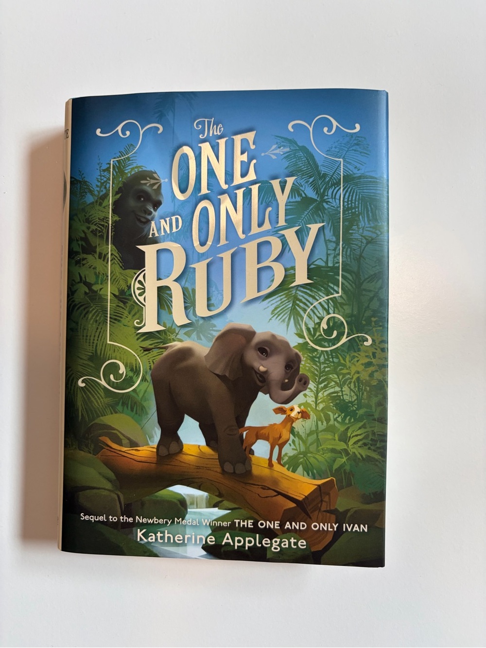 Harper The One and Only Ruby - Blue and Green Illustrated Cover